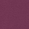 Tennis - 6478 Purple